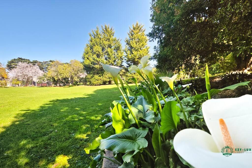 Eltham Dream Castle In Melbourneヴィラ エクステリア 写真